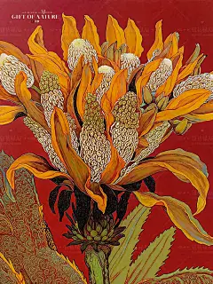 色彩魁星丨三星堆的帝王花之三 - 小红书