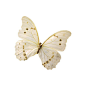 Designer Clothes, Shoes & Bags for Women | SSENSE