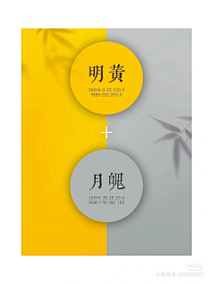 用户lyP1u93s采集到双色配色