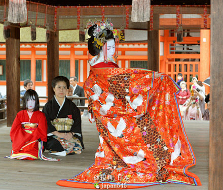 文化:「太夫」和「花魁」的区别,用一句话.