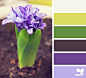 Color Sprung - http://design-seeds.com/index.php/home/entry/color-sprung2