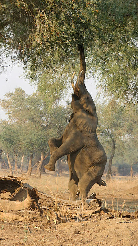 kenshiin从18d9f59b5ca14e6fb12f9524aa80d223转采于2017-11-22 19:19