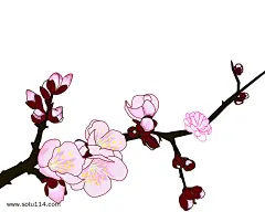 中国风粉色花枝插画图片png免抠元素卡通手绘背景装饰免扣图片设计图案