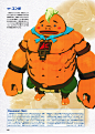 THE LEGEND OF ZELDA BREATH OF THE WILD - MASTER WORKS - ARTBOOK-118