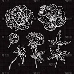 华丽的,直的,壁纸,婚礼,装饰物,绘制,插花,排列,复古