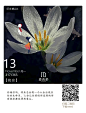 早安 晚安 海报 平面 微信 微商