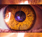 Eye of EvolutioN by MRBee30
