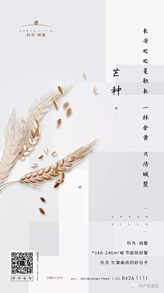大侠iyy采集到芒种