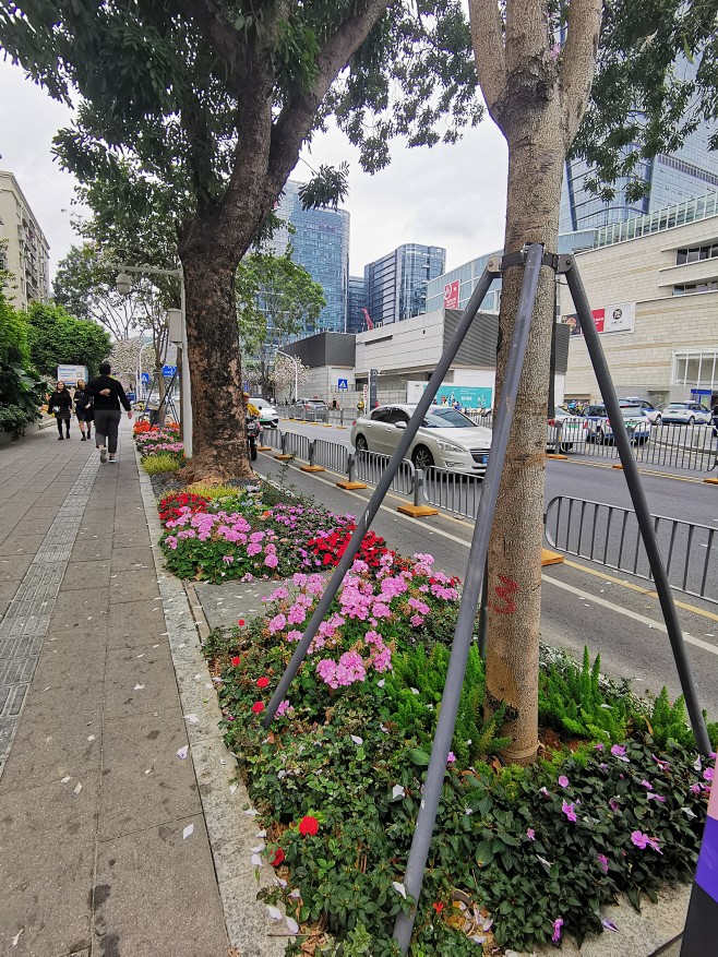 深圳中康路花景