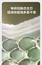 babycare山茶花纸尿裤花苞裤超薄透气新生儿婴儿宝宝尿不湿2包-tmall.com天猫
