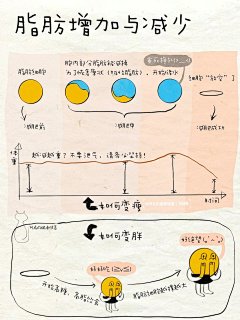 《搞懂脂肪代谢底层逻辑》｜健康笔记_3_阿九的健康储蓄_来自小红书网页版