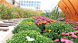 007-JOY GARDEN by IUG