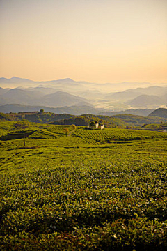 seasame采集到背景