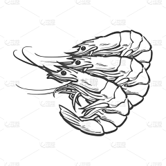糖果饼干采集到虾logo