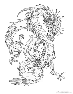 Nysyy采集到插画-龙