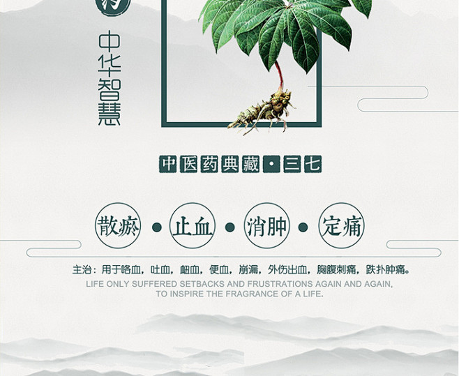 中国风三七中药文化宣传海报展板设计