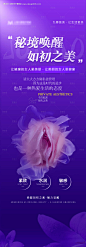 源文件下载【私密】编号：70170028121247780