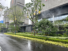 Asaya采集到S-示范区
