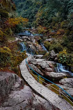 岩石花园