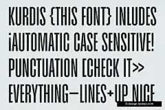 Kurdis现代简洁时尚品牌标识电影海报封面标题浓缩粗体英文字体包
