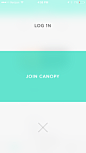 Canopy, A Curated Shop...