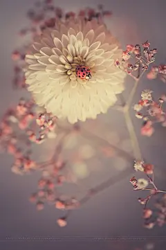  航行