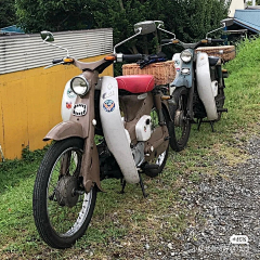 树上有熊猫采集到MOTO