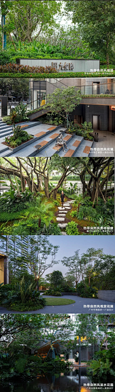 植物组合搭配景观设计-花瓣网|陪你做生活的设计师 | |.庭院植物搭配