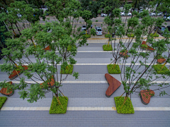 微笑醒了004采集到B-林下空间