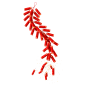 新年立体鞭炮