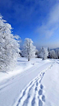 雪景