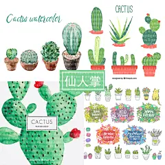 水彩手绘卡通仙人掌热带雨林植物eps+AI矢量设计素材-淘宝网