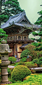 The Japanese Tea Garden in Golden Gate Park ~ San Francisco, California • photo: Brenda Addington on The Graceful Gardener: 