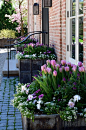 Enhance your home and curb appeal with bright and cheery spring bulb gardens. They make you want to shake the snow off and enjoy warmer days!