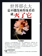 世界那么大 杂志文字排版#排版# #色彩#