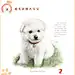 《狗狗绘—33只萌犬的色铅笔图绘》——萌犬彩铅绘物语！-淘宝网
