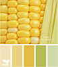 corn brights _P配色 #率叶插件，让花瓣网更好用#