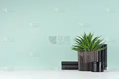 优雅清新的家居装饰与绿色的室内植物芦荟在肋黑罐，黑色书籍在风格绿色薄荷薄荷室内在白色木桌，拷贝空间。