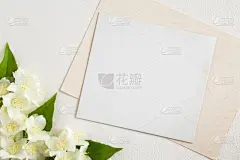 贺卡,空白的,清新,芳香的,白色背景,茉莉,白色,邀请的,国际妇女节,我爱你