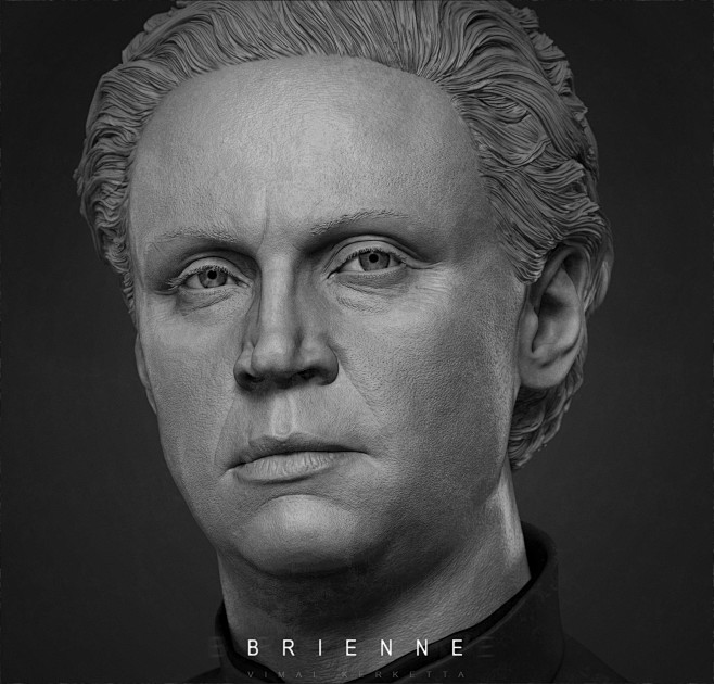 Brienne of Tarth, Vi...