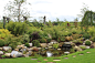 Japanese Garden Pond - Country - Garden - West Midlands - by Floren Design Ltd. | Houzz UK