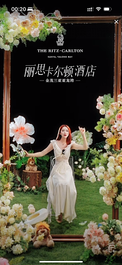 西西西瓜西瓜采集到直播间参考