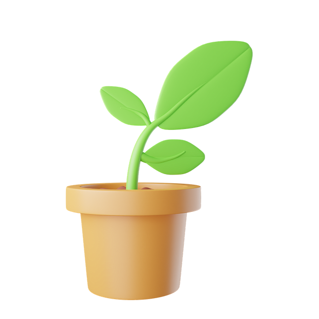 Plant