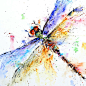 DRAGONFLY Watercolor print by Dean Crouser: 