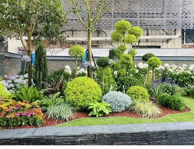 商业花境植物搭配_3_景观设计小逸_来自...