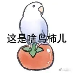 【表情包】发点色禽图片（70张）