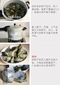 双枣蜜粽的做法