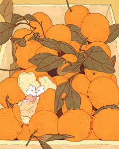 玄都--宏采集到水果插画------橘子