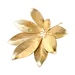 花 金色