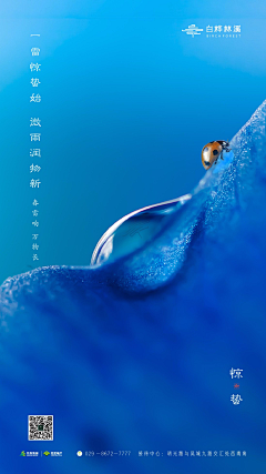 Wendy1030采集到节日节气